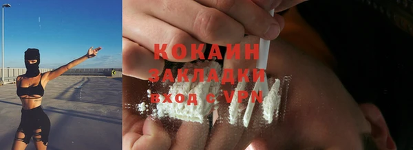 ГАЛЛЮЦИНОГЕННЫЕ ГРИБЫ Верея