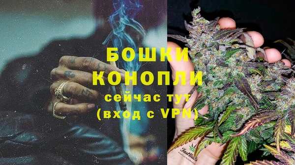 ГАЛЛЮЦИНОГЕННЫЕ ГРИБЫ Верея