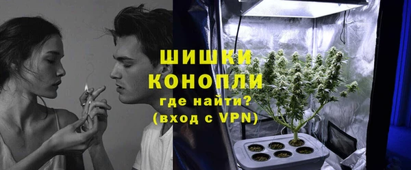 ГАЛЛЮЦИНОГЕННЫЕ ГРИБЫ Верея