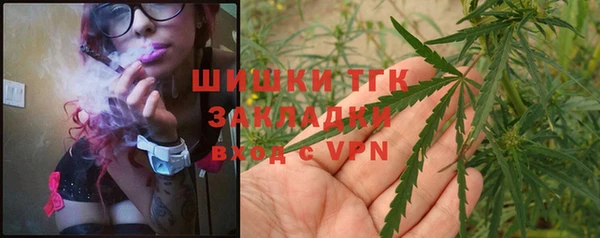 ГАЛЛЮЦИНОГЕННЫЕ ГРИБЫ Верея