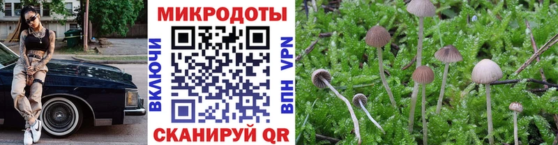 Галлюциногенные грибы MAGIC MUSHROOMS  Вяземский 